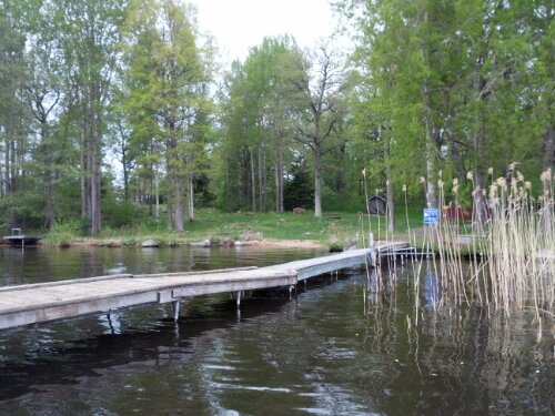 IMG_20130519_152236.jpg image
