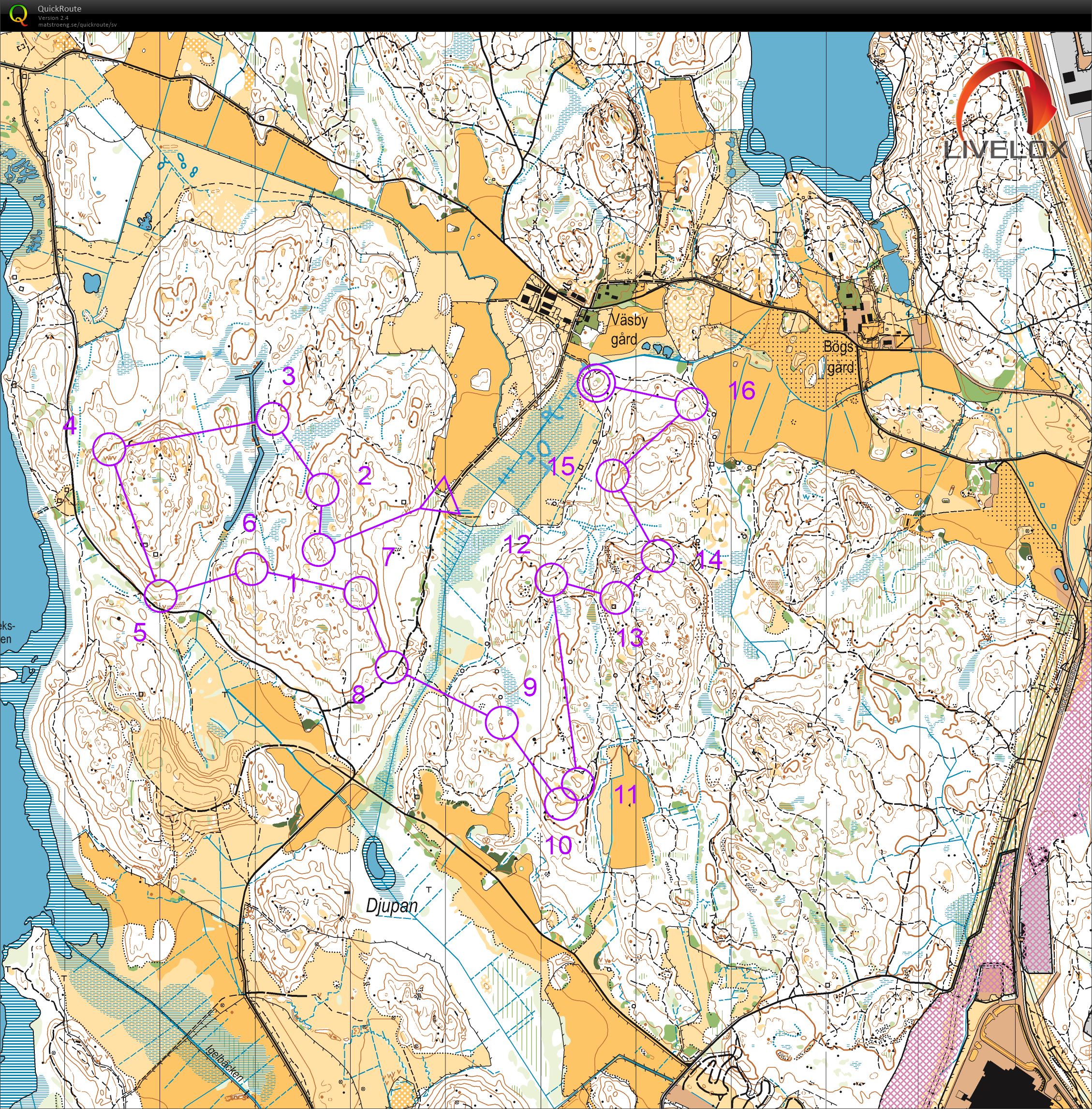 Träning Brunbild (2020-08-11)